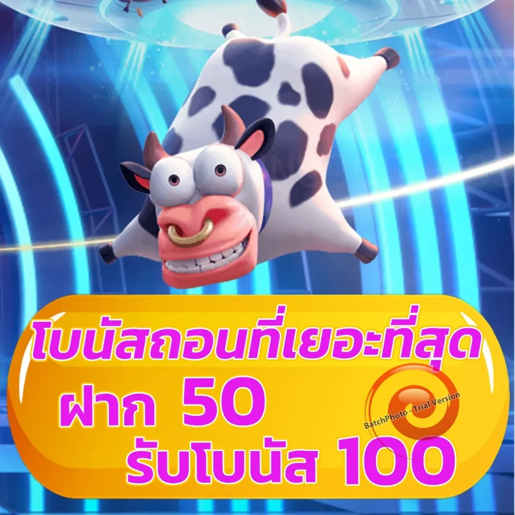 oppa 77 แตกง่าย